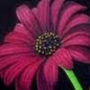 salehaaltaf